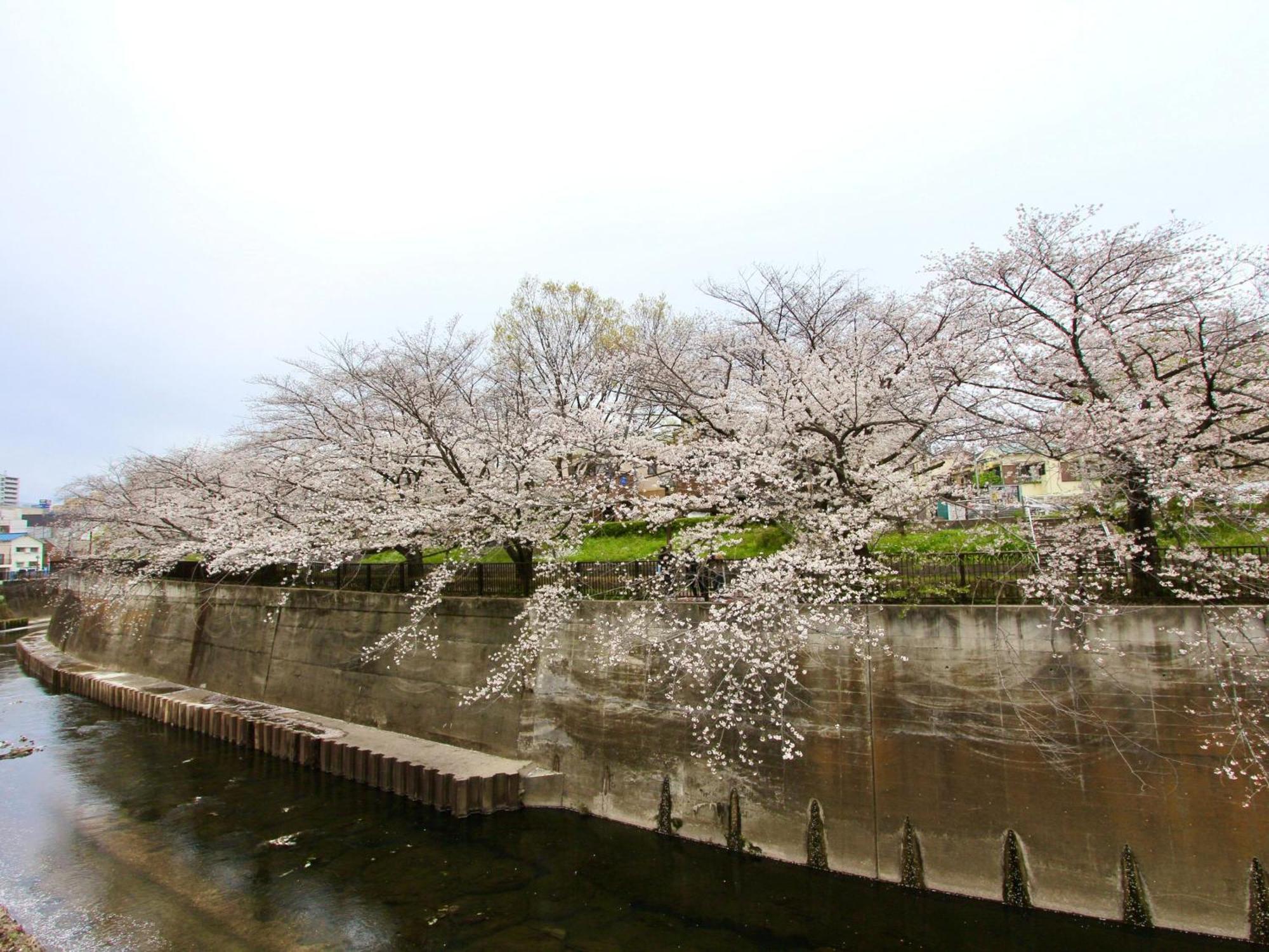 Family Or Business Travel 20 Percent Off Free Ikebukuro Shuttle Garden Up To 7 Guests Villa