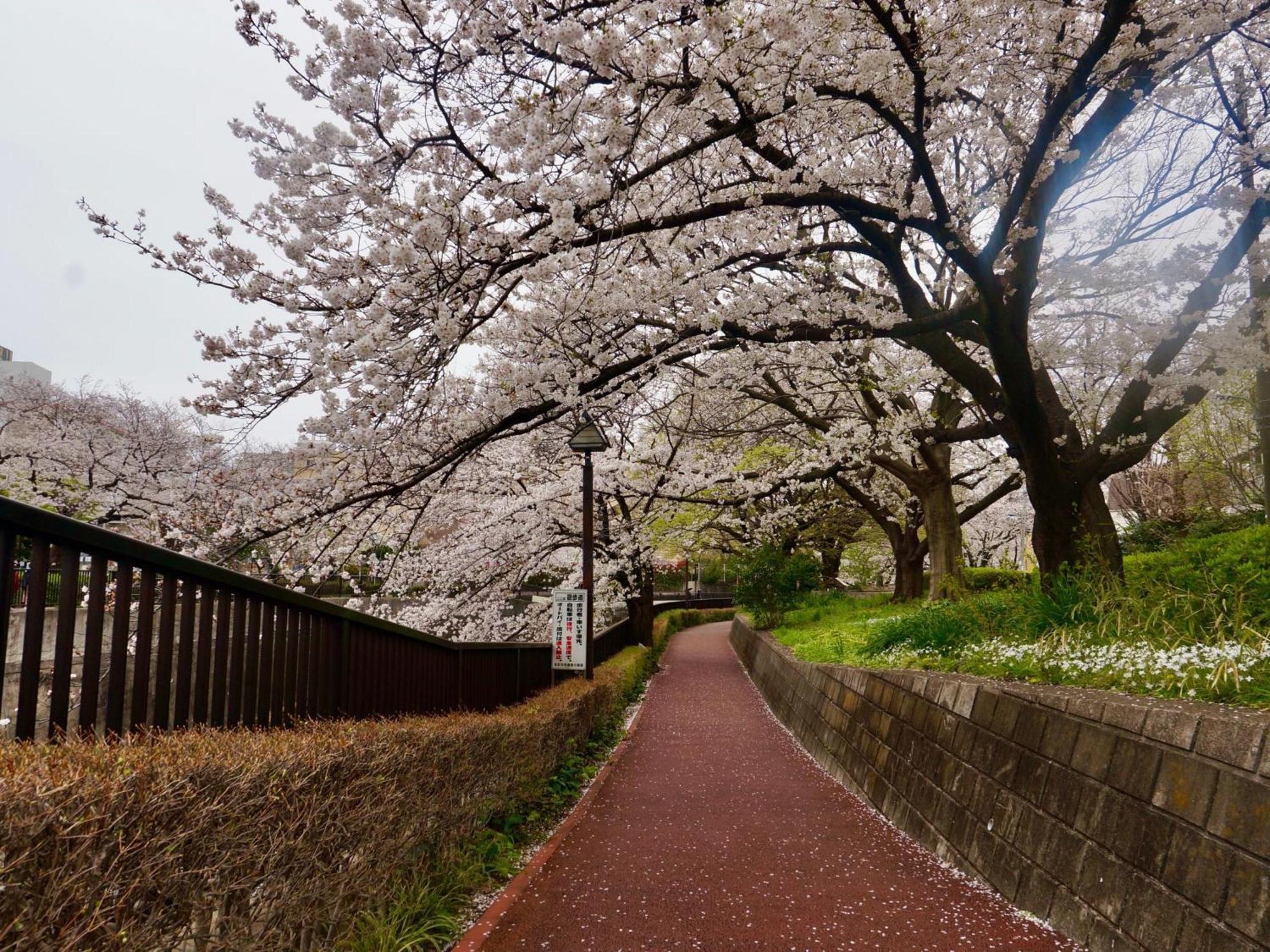 Family Or Business Travel 20 Percent Off Free Ikebukuro Shuttle Garden Up To 7 Guests Villa *
