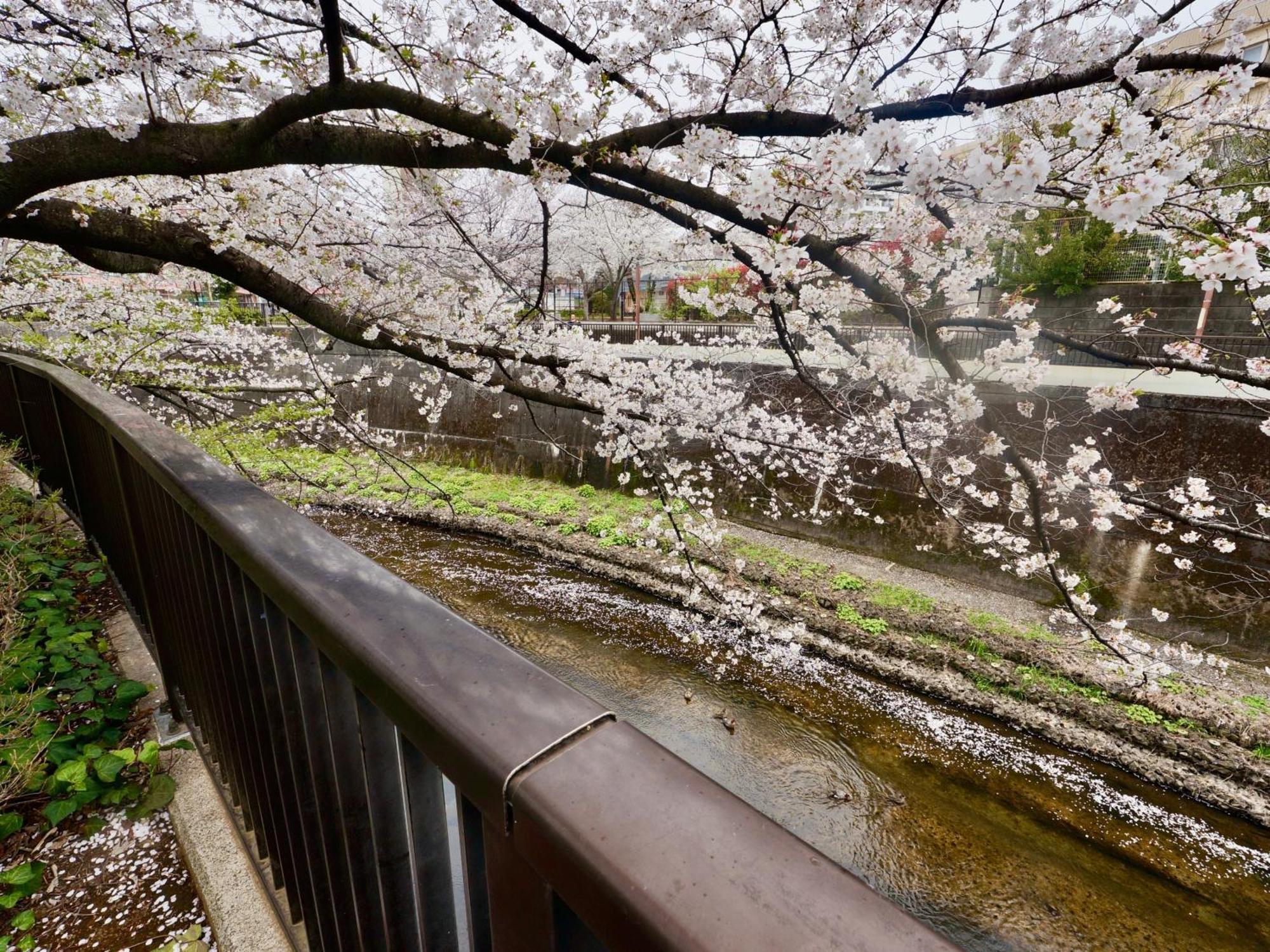 Family Or Business Travel 20 Percent Off Free Ikebukuro Shuttle Garden Up To 7 Guests Villa Tokio